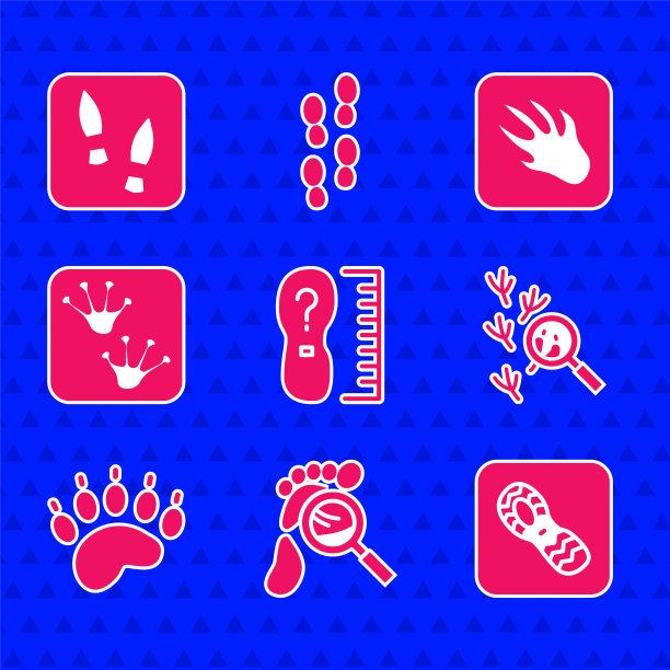 集平方尺英尺大小，放大镜与脚步，人类脚印鞋，鸟，熊掌，青蛙，鳄鱼鳄鱼和图标。向量图片下载