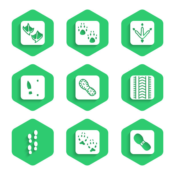 设置人类脚印鞋，狐狸爪子，轮胎轨迹，鸡和海鸥的图标。向量图片下载