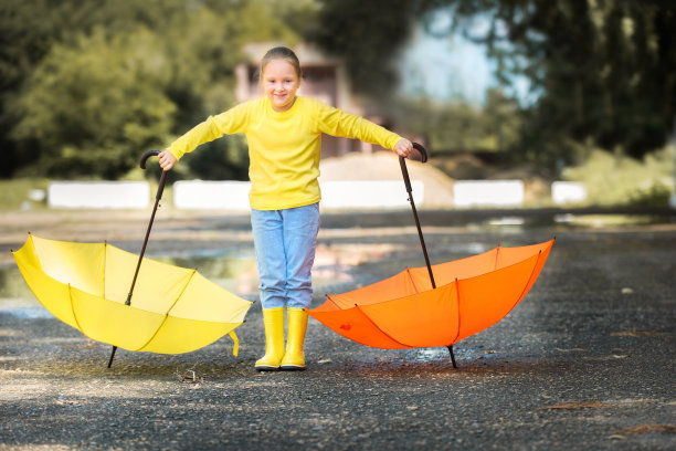 秋天的概念图片下载