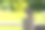 小猫头鹰坐在木桩上。这张照片有一个模糊的绿色背景和漂亮的散景图片下载
