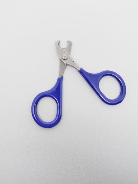 猫指甲刀图片下载