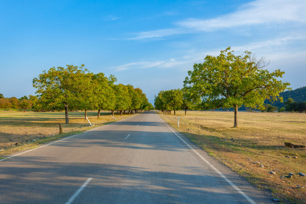 格鲁吉亚Kakheti地区的沥青公路。旅行图片下载