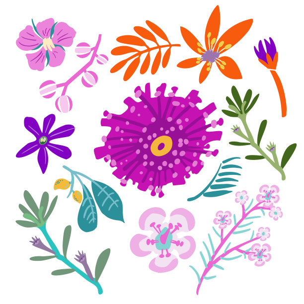 奇异的设置异域花卉植物元素图片下载