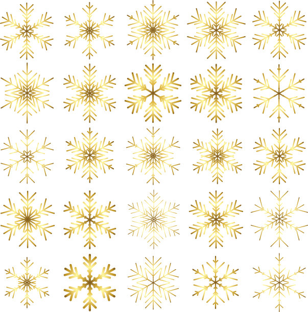 把不同的雪花放在黑色上图片下载