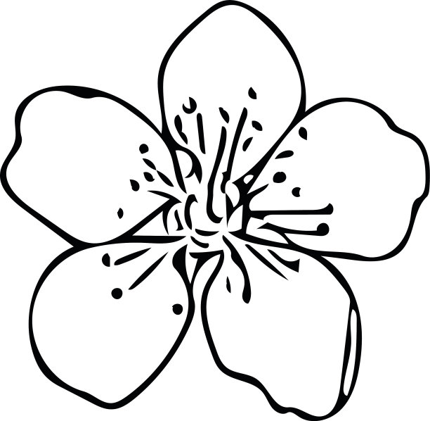 杏树花手绘涂鸦风格图片下载