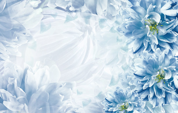 花蓝色郁金香浅蓝色背景。特写镜头。贺卡。大自然。图片下载