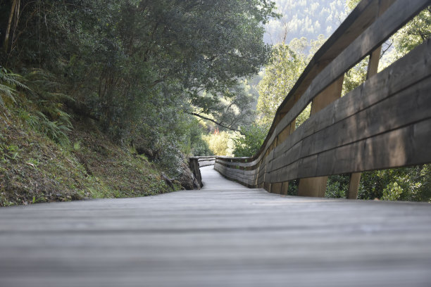 Paiva的走道图片下载