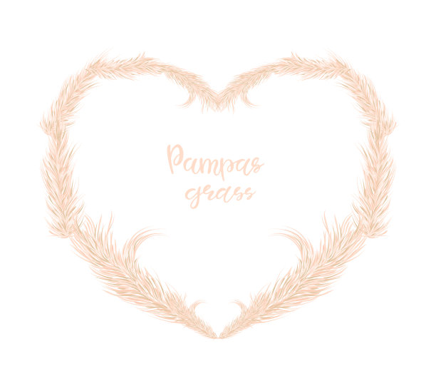 干燥的潘帕斯草位于心形图片下载