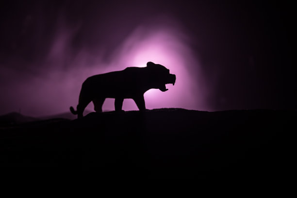 木桌上立着一只狮子的剪影。创意装饰与彩色背光与雾。有选择性的重点图片下载