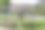 在公园里开满了花和叶的紫藤的松散树荫下，一个舒适的春天放松的地方图片下载