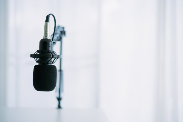 家庭演播室专业电容式麦克风。图片下载