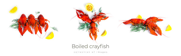 白底色的黑盘子上，配上小茴香和柠檬的水煮小龙虾图片下载