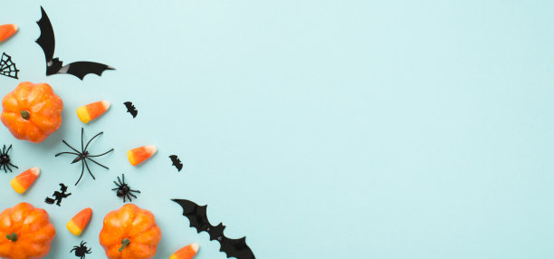 顶部视图照片万圣节装饰小南瓜糖果玉米蜘蛛网女巫和蝙蝠的剪影与复制空间的孤立的淡蓝色背景图片下载