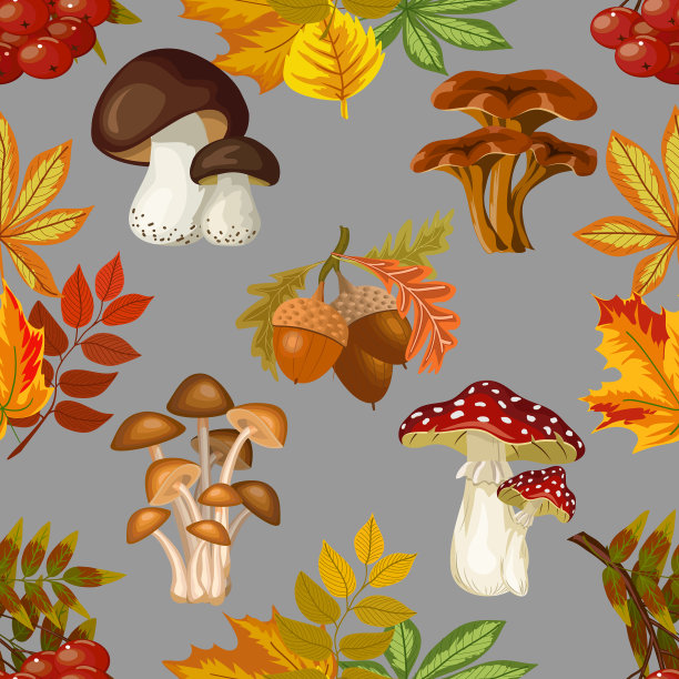 蘑菇和叶子的图案图片下载