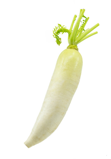 孤立一个白底萝卜图片下载