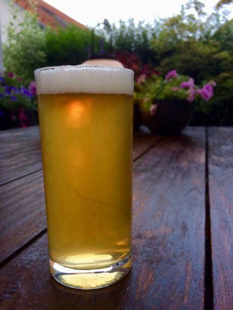 一杯啤酒图片下载