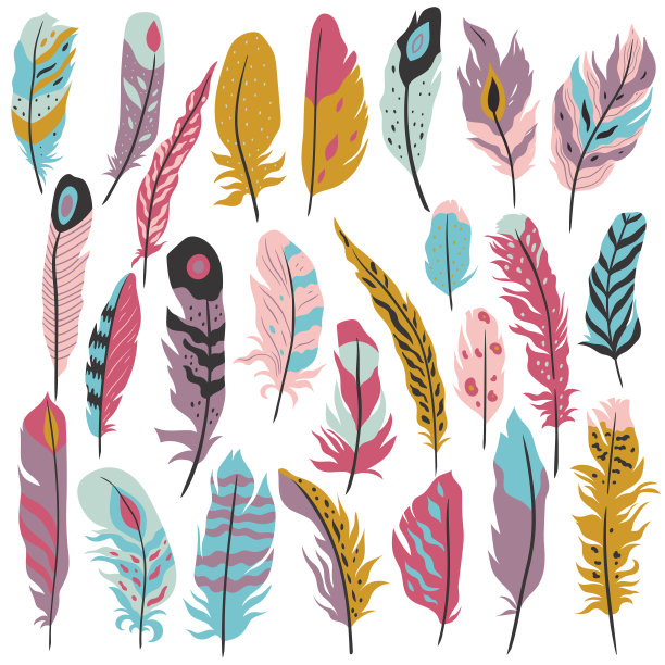 一套羽毛在波西米亚风格孤立在白色背景。矢量图形。图片下载