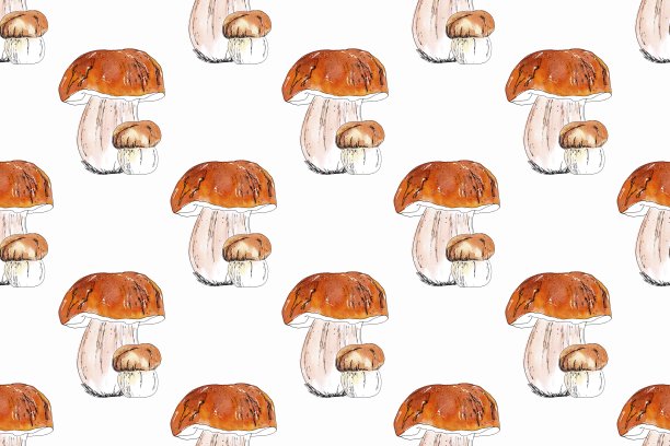 秋季无缝的蘑菇图案。水彩手绘插图。白色bachground图片下载