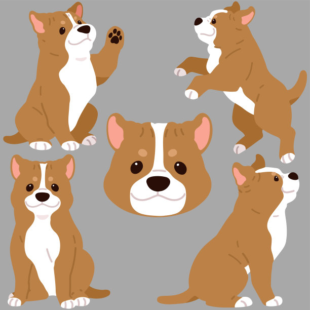 平色可爱和简单的比特犬插图集图片下载