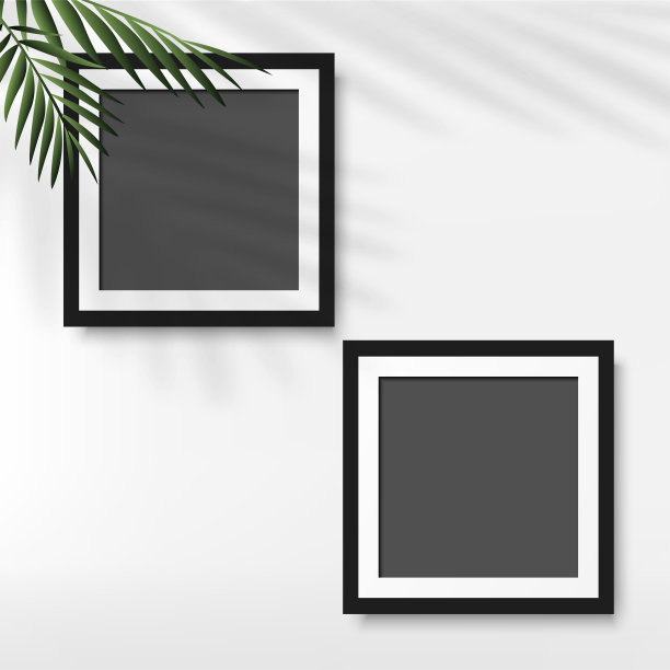 黑色相框，白色背景棕榈叶。向量图片下载