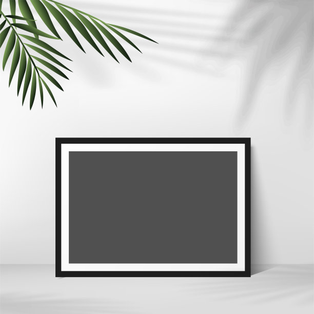 黑色相框，白色背景棕榈叶。向量图片下载