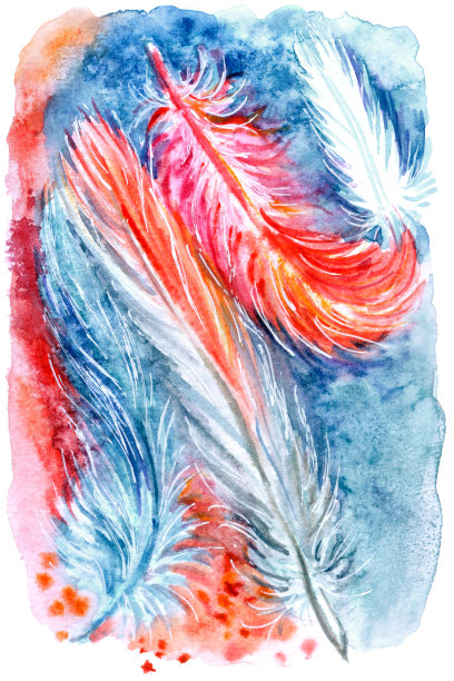 蓝色背景上的火烈鸟羽毛，水彩画图片下载