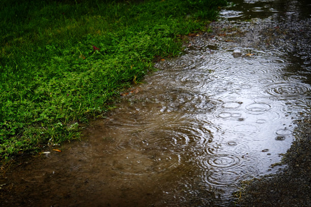 草地面积和水坑与雨水飞溅下来图片下载