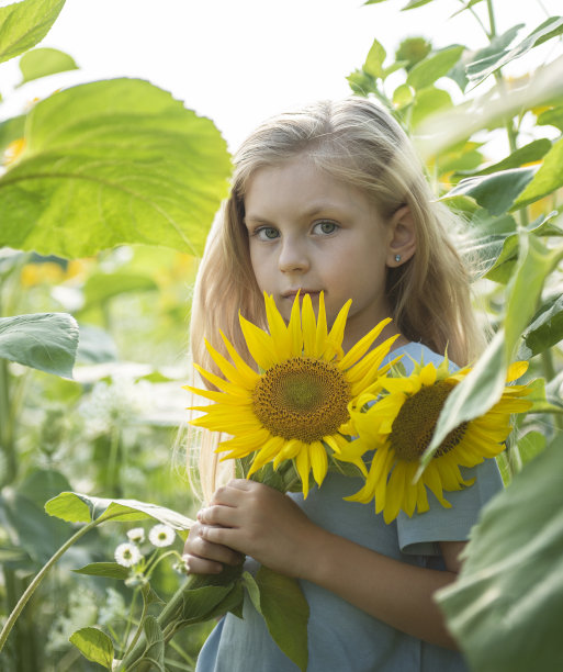 向日葵里美丽的小女孩图片下载