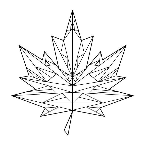 成人和大一点的孩子的涂色书。秋天的枫叶。图片下载