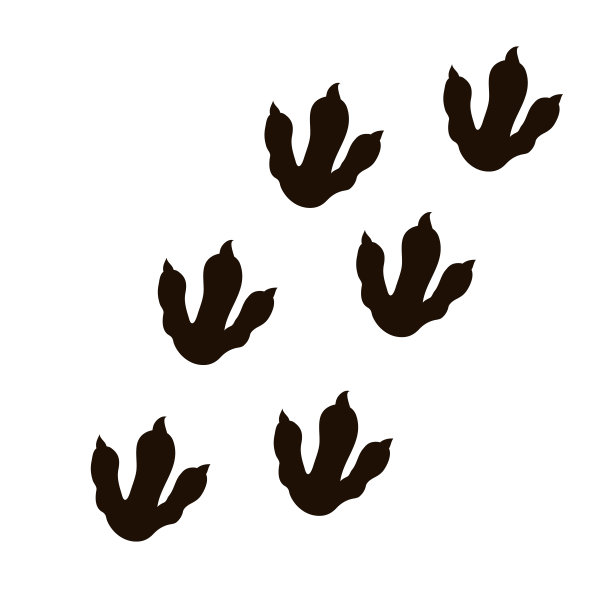 恐龙脚，爬行动物足迹剪影卡通风格孤立在白色背景。象征、模型或邮票史前巨兽。。矢量图图片下载