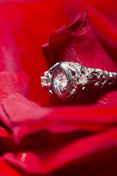 红玫瑰上镶有钻石的铂金戒指，特写镜头图片下载