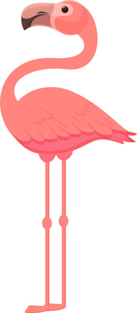 漂亮的火烈鸟卡通热带鸟图片下载