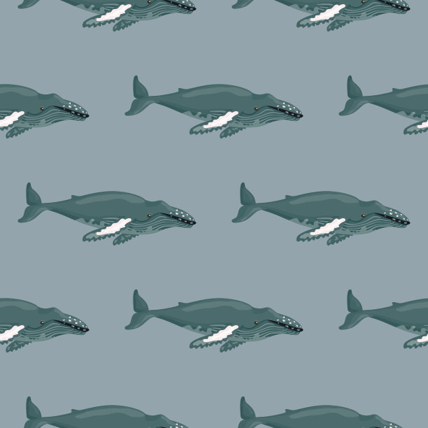 无缝图案座头鲸在灰色图片下载