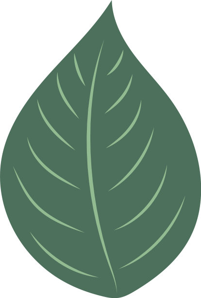 森林叶设计图片下载