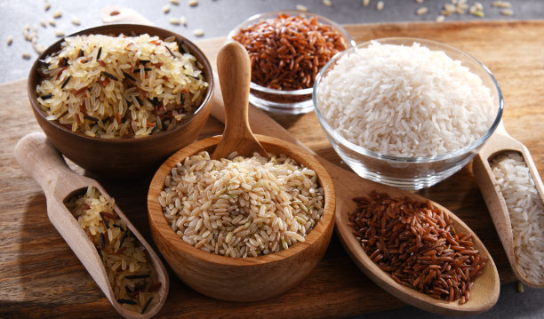 与不同种类的大米组成图片下载