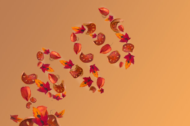 创意秋天色彩斑斓的背景，由漩涡树叶和切成薄片的干南瓜。图片下载