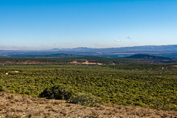 阿多公园的森林和丘陵景观图片下载