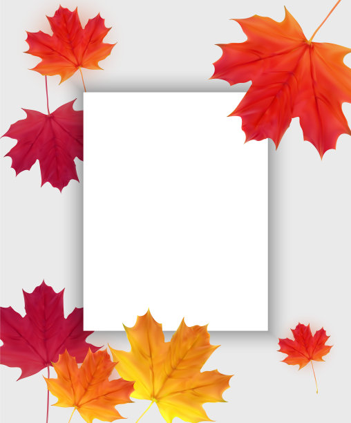 秋天自然背景模板用落图片下载