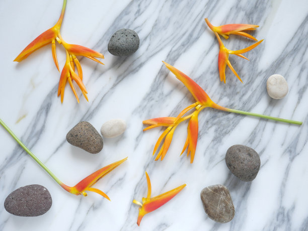 带有热带花朵、树叶和禅意石头的横幅或墙纸，被隔离在白色大理石上。图片下载