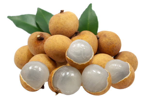 龙眼果孤立在白色背景上图片下载