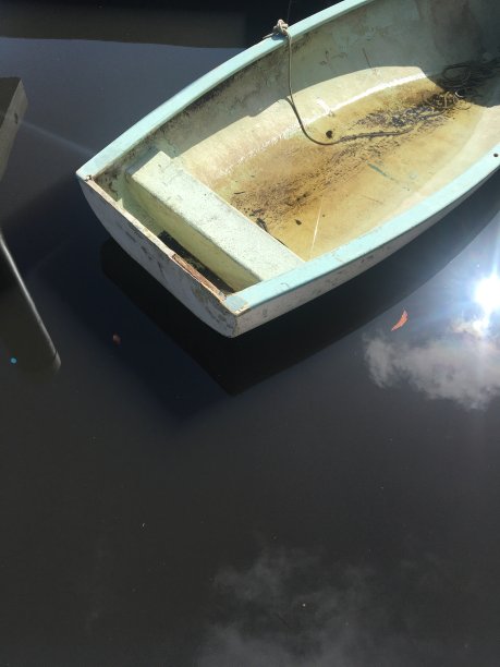 慵懒的下午图片下载