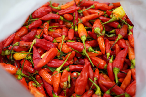 红辣椒全帧拍摄图片下载