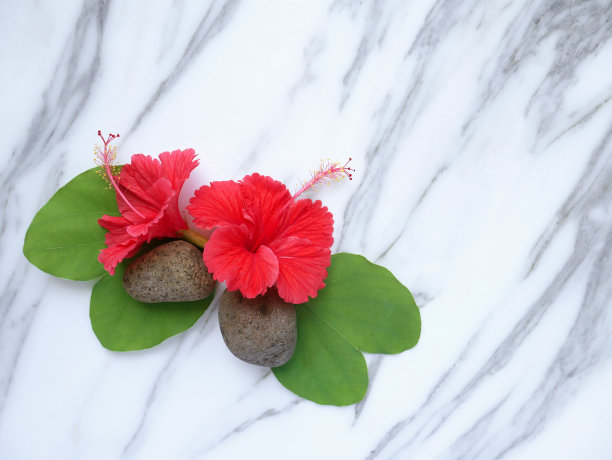 横幅或墙纸上有芙蓉花，叶子和禅意石头，孤立在白色大理石上。图片下载