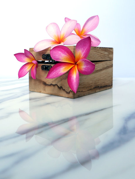 一面旗帜或墙纸，上面点缀着温泉疗养地的花朵，配上一个木制的盒子，单独放在白色大理石上。图片下载