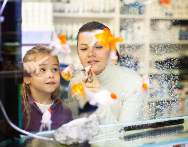 透过玻璃观景的女人和女孩在看鱼图片下载