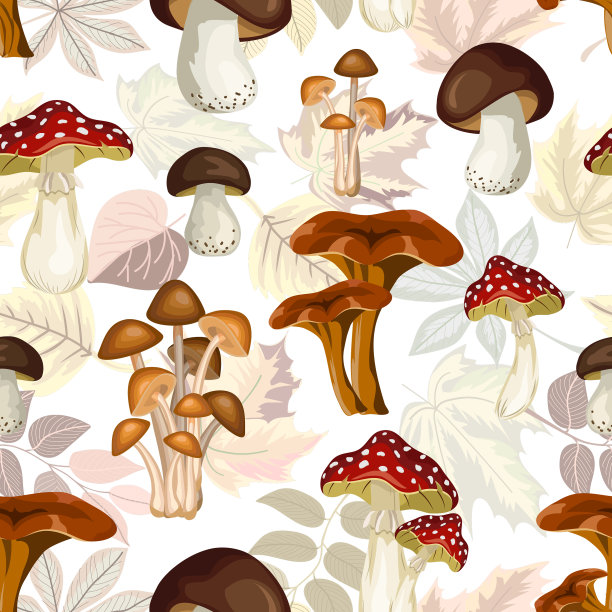 彩色蘑菇图案图片下载