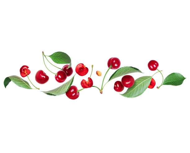 白色背景上，绿色的成熟樱桃在空中飞舞图片下载