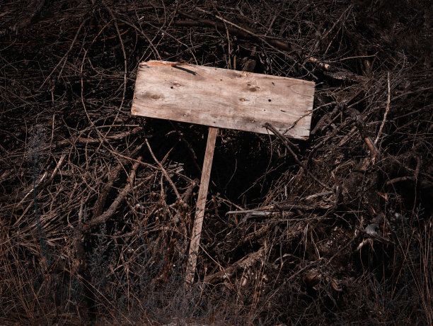 可怕的空木牌躺在干树枝上。万圣节。图片下载