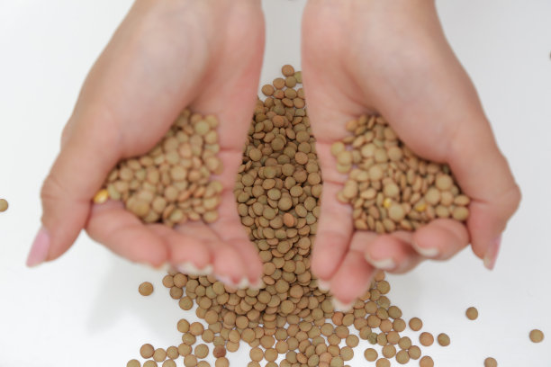 豆科小的一年生攀援植物。图片下载