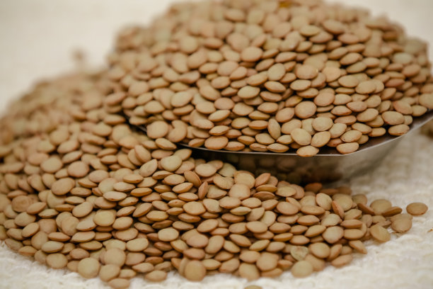 豆科小的一年生攀援植物。图片下载